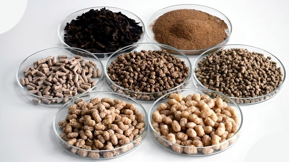 মাইলস এগ্রো ফিড মিলস